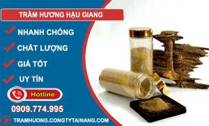 gỗ Trầm Hương Hậu Giang