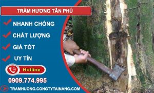 mua Trầm Hương Tân Phú