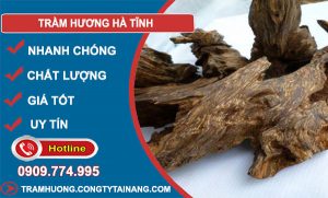 Trầm Hương Hà Tĩnh