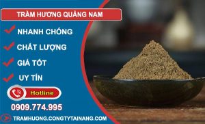 Trầm Hương Quảng Nam