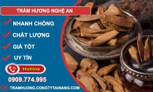Trầm Hương Tại Nghệ An
