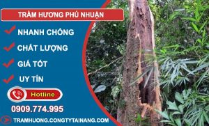 Trầm Hương Phú Nhuận