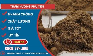 trầm hương tại phú yên