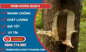 Trầm Hương Quận 9