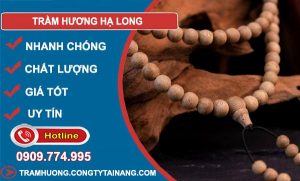 gỗ Trầm Hương Hạ Long