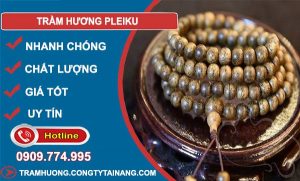 gỗ Trầm Hương Pleiku