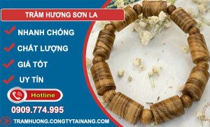 Trầm Hương Sơn La