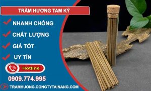 gỗ Trầm Hương Tam Kỳ