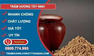 gỗ Trầm Hương Tây Ninh