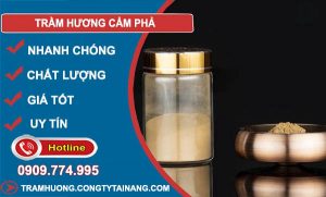 gỗ Trầm Hương Cẩm Phả