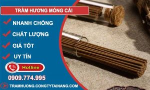 Trầm Hương tại Móng Cái