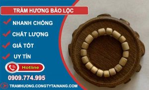 gỗ Trầm Hương Bảo Lộc